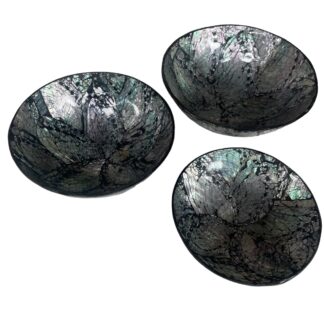 Set of 3 round shell bowls